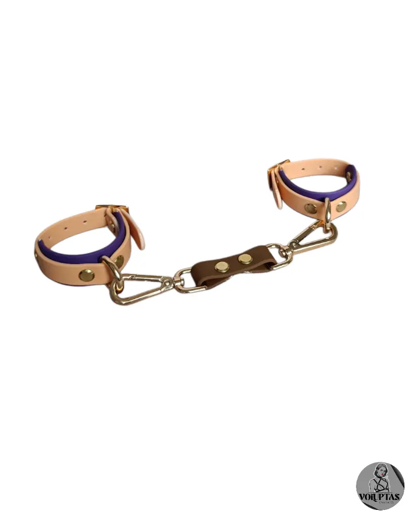 Petite Attache cheville poignet.webp