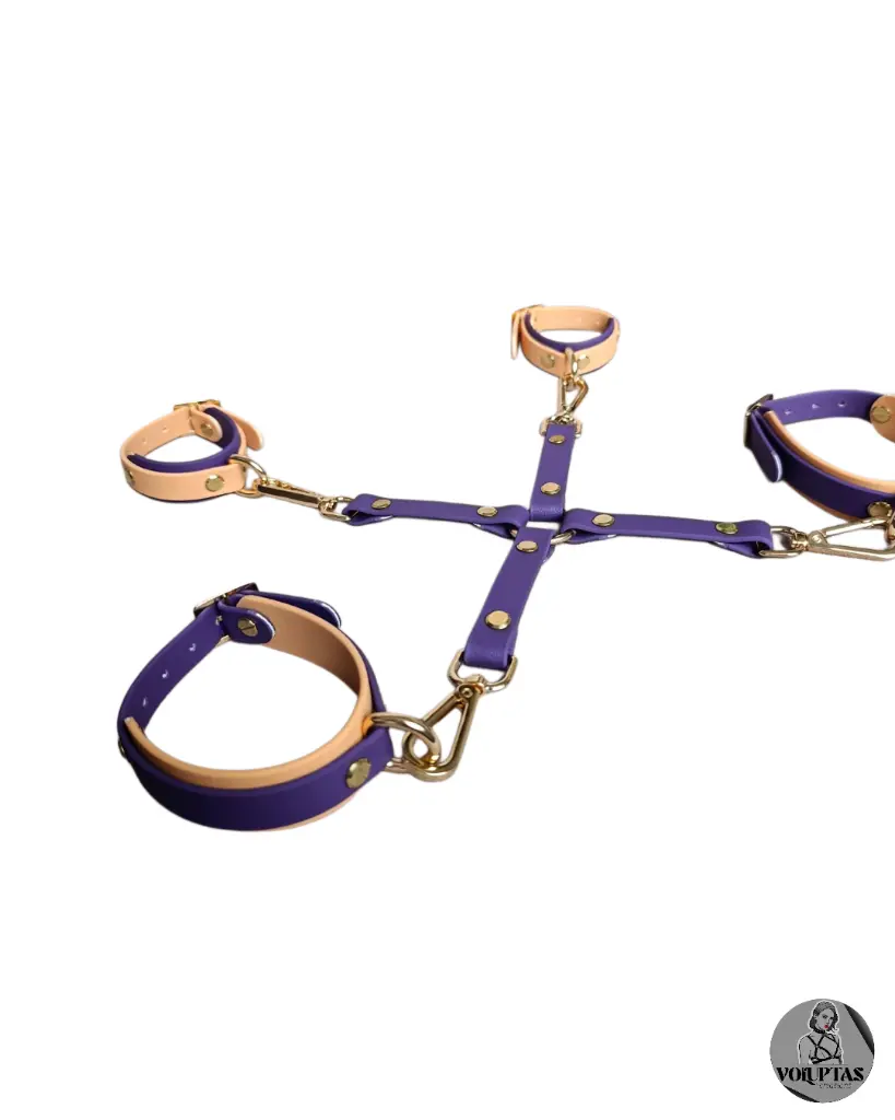 Attache cheville poignet.webp