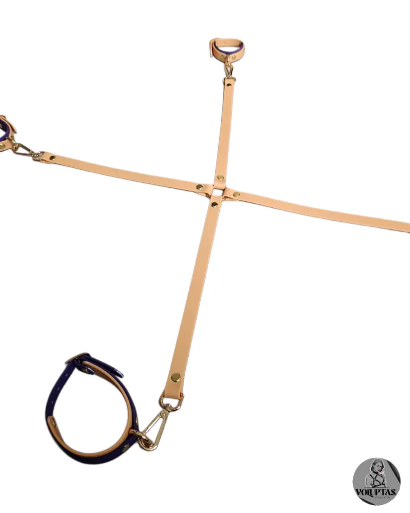 GRANDE Attache cheville poignet (2).webp