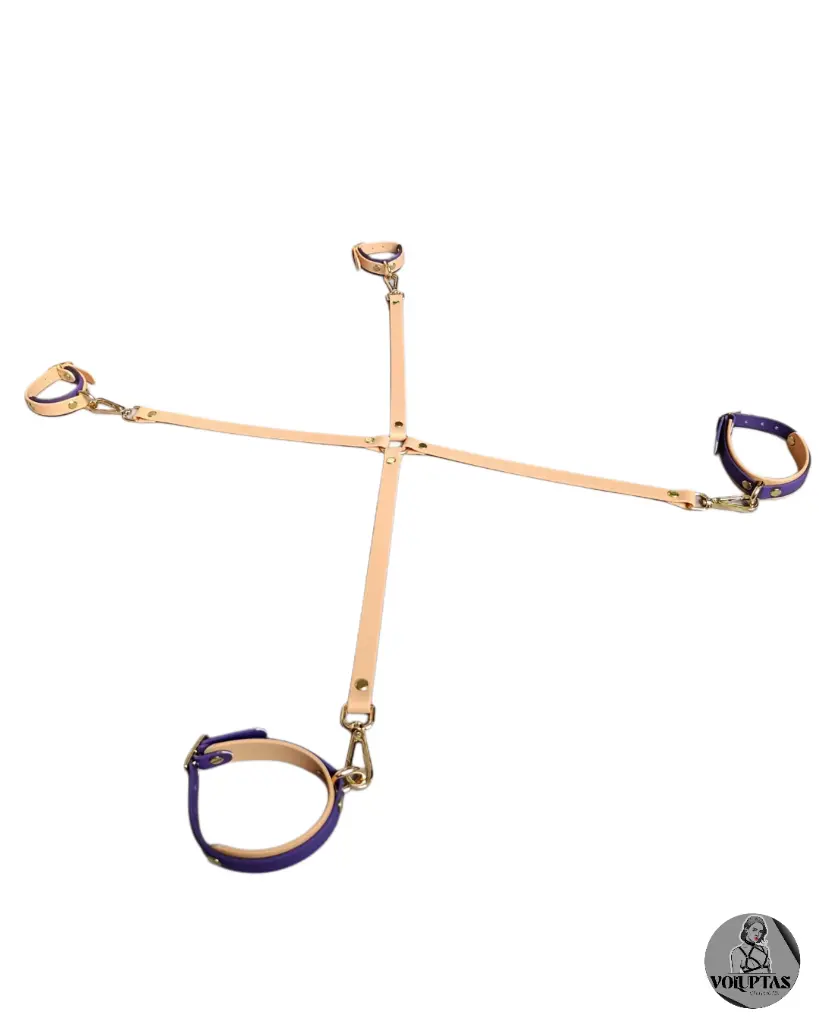 GRANDE Attache cheville poignet (1).webp