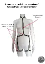 Harnais Voluptas (6).webp