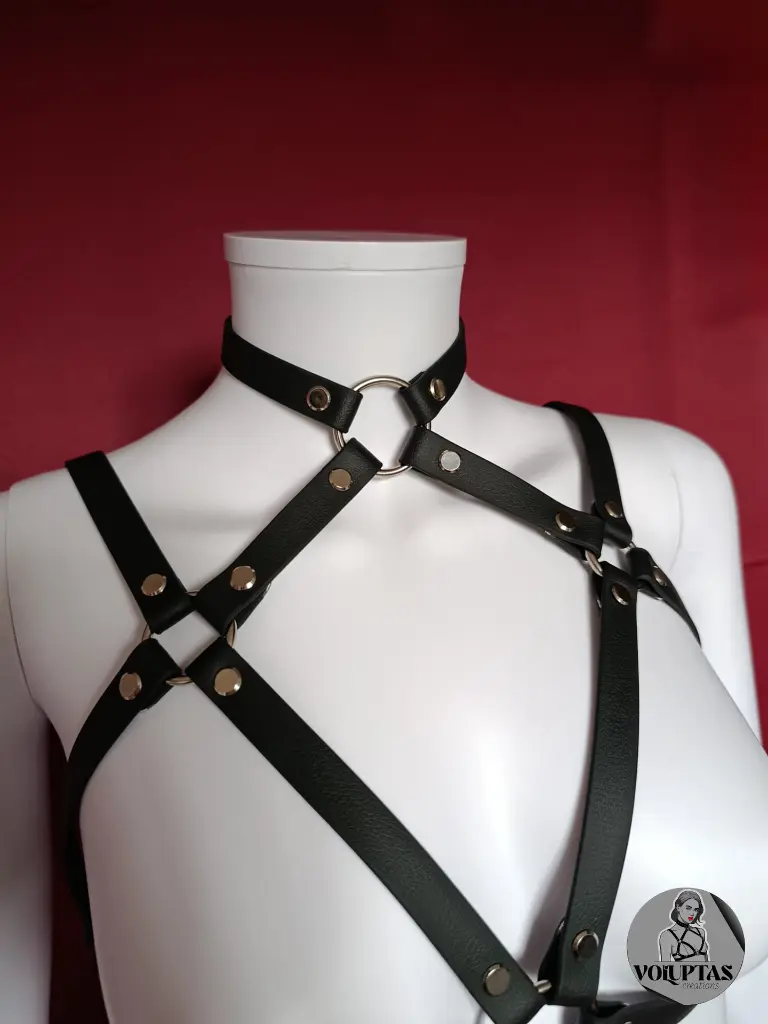 soutien gorge + collier.webp