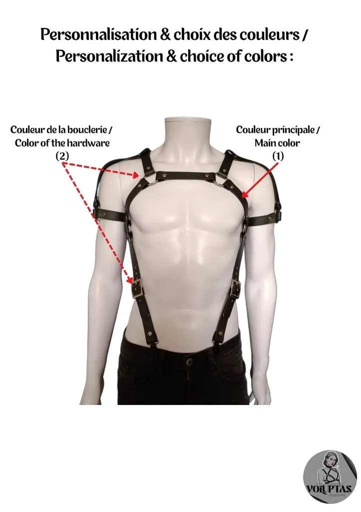 Harnais Voluptas (14).webp
