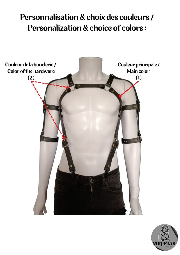 Harnais Voluptas (16).webp