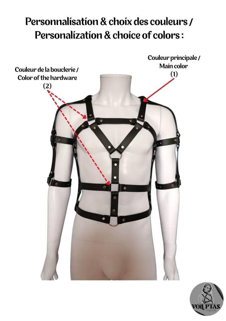 Harnais Voluptas (20).webp