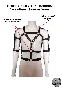 Harnais Voluptas (20).webp