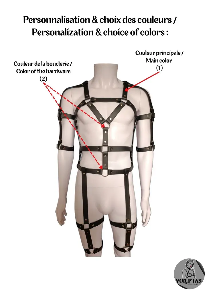 Harnais Voluptas (22).webp