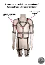 Harnais Voluptas (22).webp