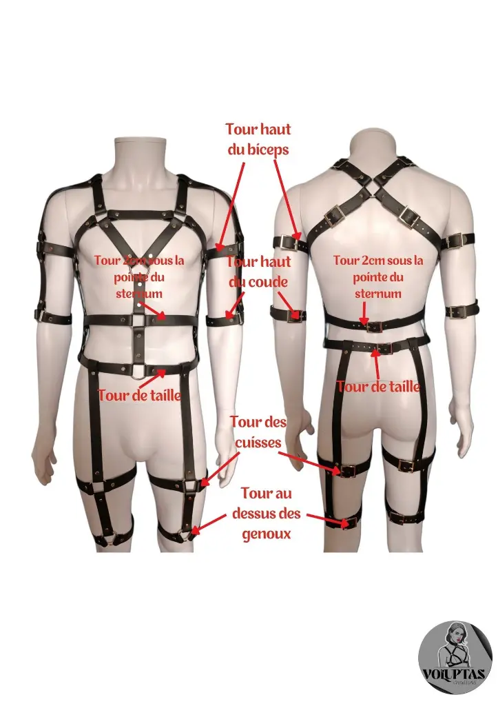 Harnais Voluptas (28).webp