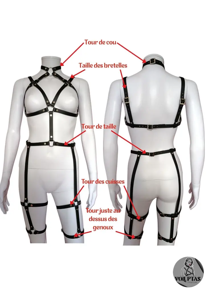 Harnais Voluptas (27).webp