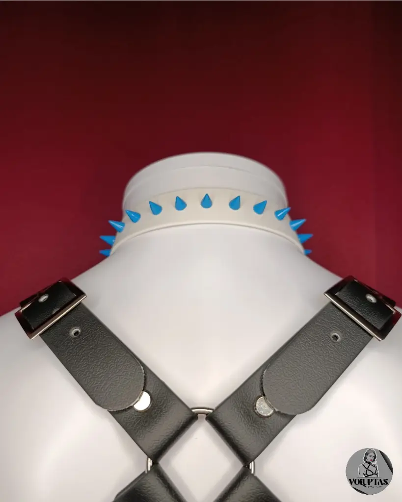 Amaro avec pics.webp