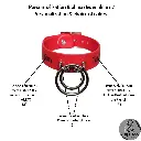 Couleur de la bouclerie Color of the hardware (2) (22).webp