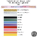 Couleur de la bouclerie Color of the hardware (2) (43).webp