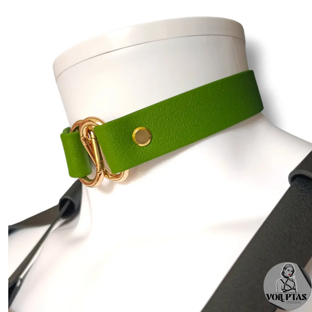 Couleur de la bouclerie  Color of the hardware (2) (2).webp