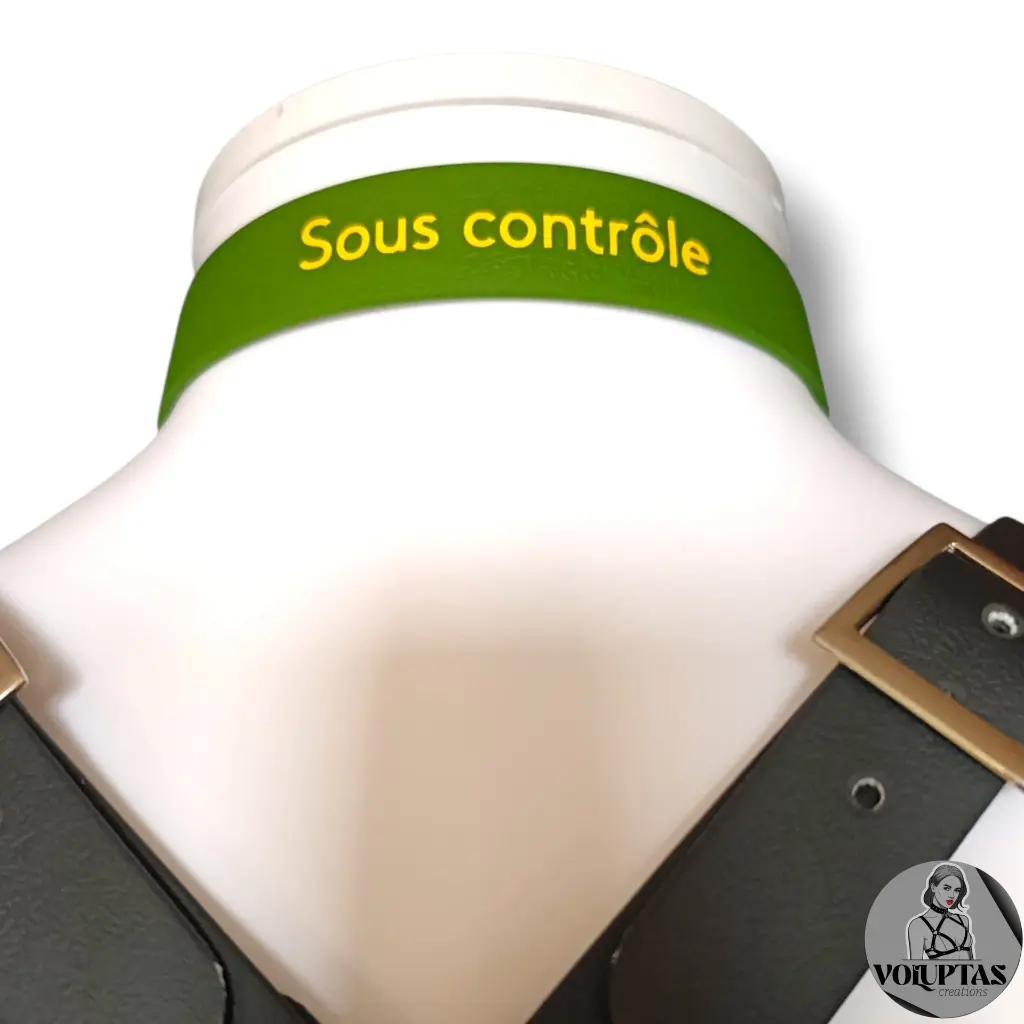 Couleur de la bouclerie  Color of the hardware (2) (3).webp