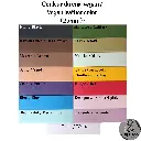 Menottes 20482048 (15).webp