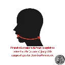 11.webp