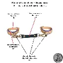 Menottes 20482048 (16).webp