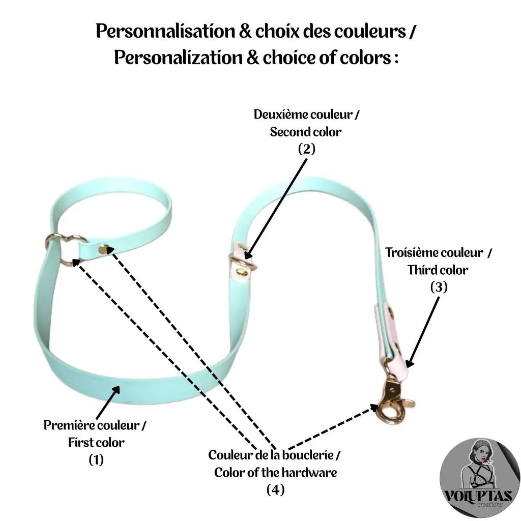 Laisses 20482048.webp