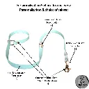 Laisses 20482048.webp