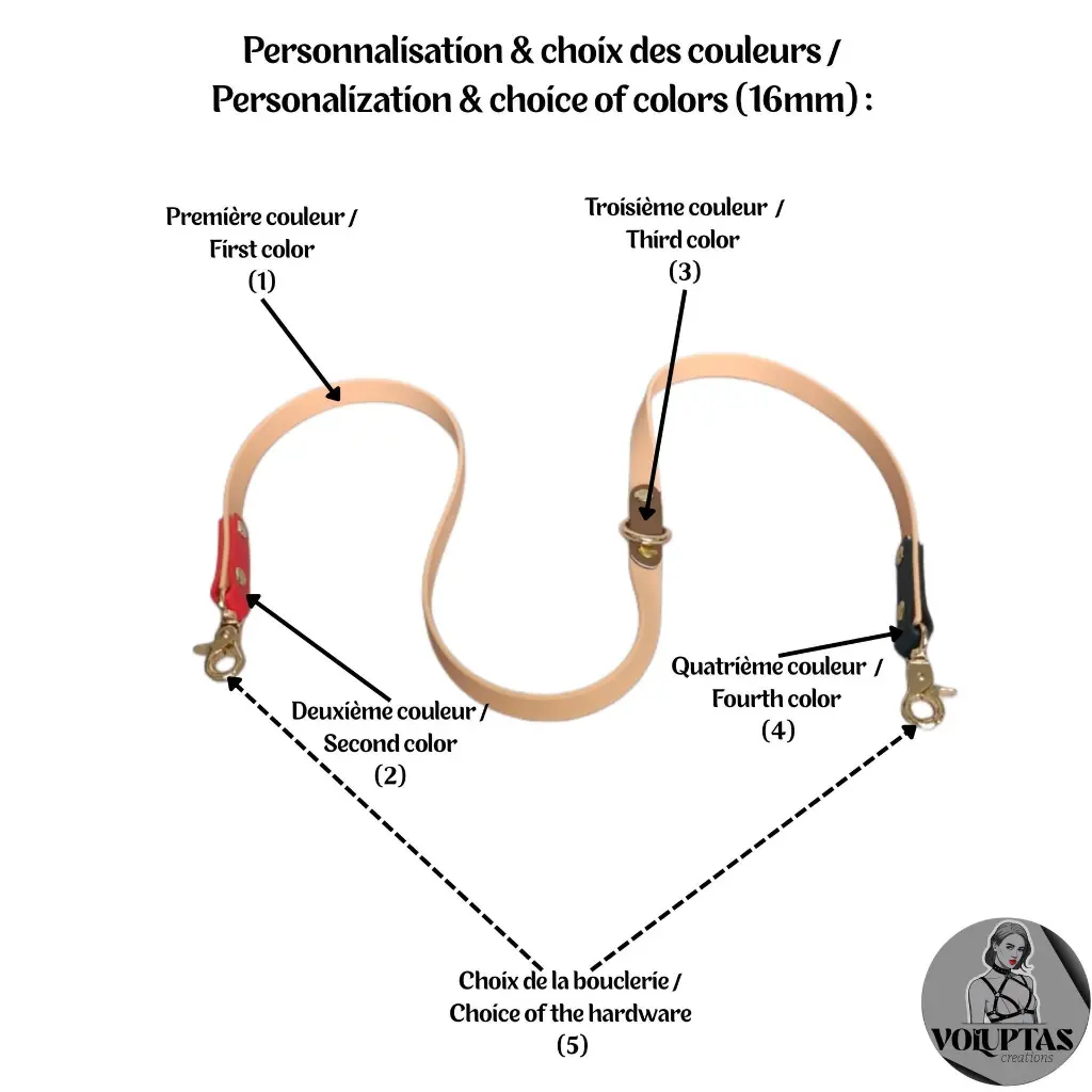 Laisses 20482048 (2).webp