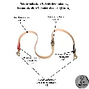 Laisses 20482048 (2).webp