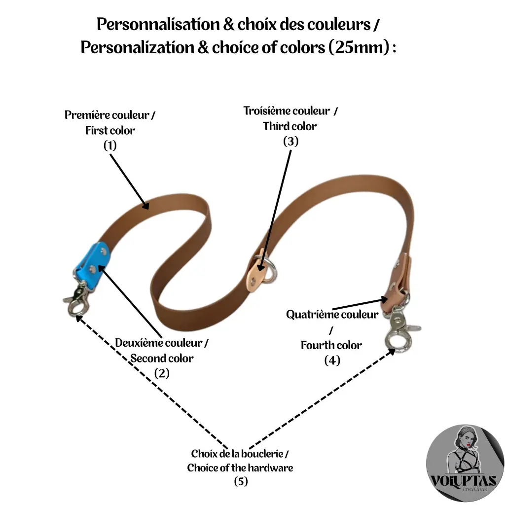 Laisses 20482048 (4).webp