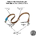 Laisses 20482048 (4).webp