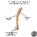 Slappers 20482048 (48).webp