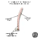 Slappers 20482048 (49).webp