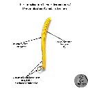 Slappers 20482048 (59).webp