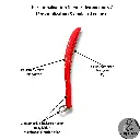 Slappers 20482048 (60).webp