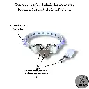 Couleur de la bouclerie Color of the hardware (2) (100).webp