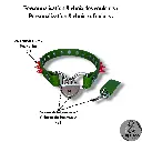 Couleur de la bouclerie  Color of the hardware (2) (95).webp