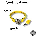 Couleur de la bouclerie Color of the hardware (2) (94).webp