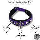 Couleur de la bouclerie Color of the hardware (2) - 2026-03-14T185456.640.webp