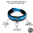 Couleur de la bouclerie  Color of the hardware (2) - 2026-03-14T185453.415.webp