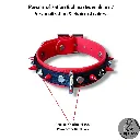 Couleur de la bouclerie  Color of the hardware (2) - 2026-03-27T155505.163.webp