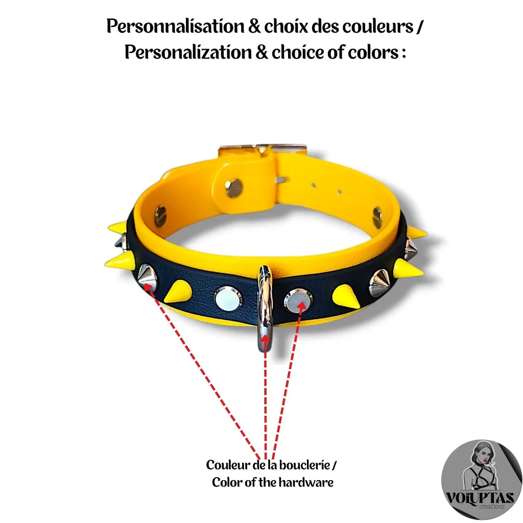 Couleur de la bouclerie Color of the hardware (2) - 2026-03-27T155456.178.webp