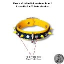 Couleur de la bouclerie Color of the hardware (2) - 2026-03-27T155456.178.webp