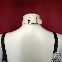 1000019819.webp