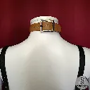 1000019811.webp