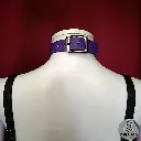 1000019803.webp