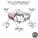 Couleur de la bouclerie  Color of the hardware (2) - 2026-05-08T125101.962.webp