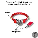 Couleur de la bouclerie Color of the hardware (2) - 2026-05-08T142651.025.webp