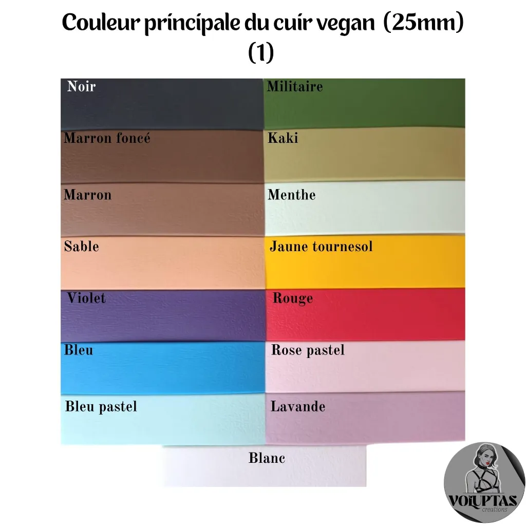 Couleur de la bouclerie Color of the hardware (2) - 2026-08-14T160614.614.webp