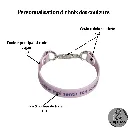 Couleur de la bouclerie Color of the hardware (2) - 2026-08-14T162819.310.webp