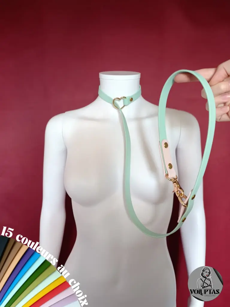 Collier ALLEGA avec laisse intégrée — Système étrangleur 