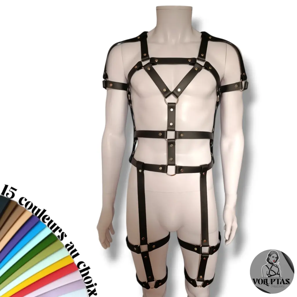 Harnais BDSM VIXENO — Complet + biceps