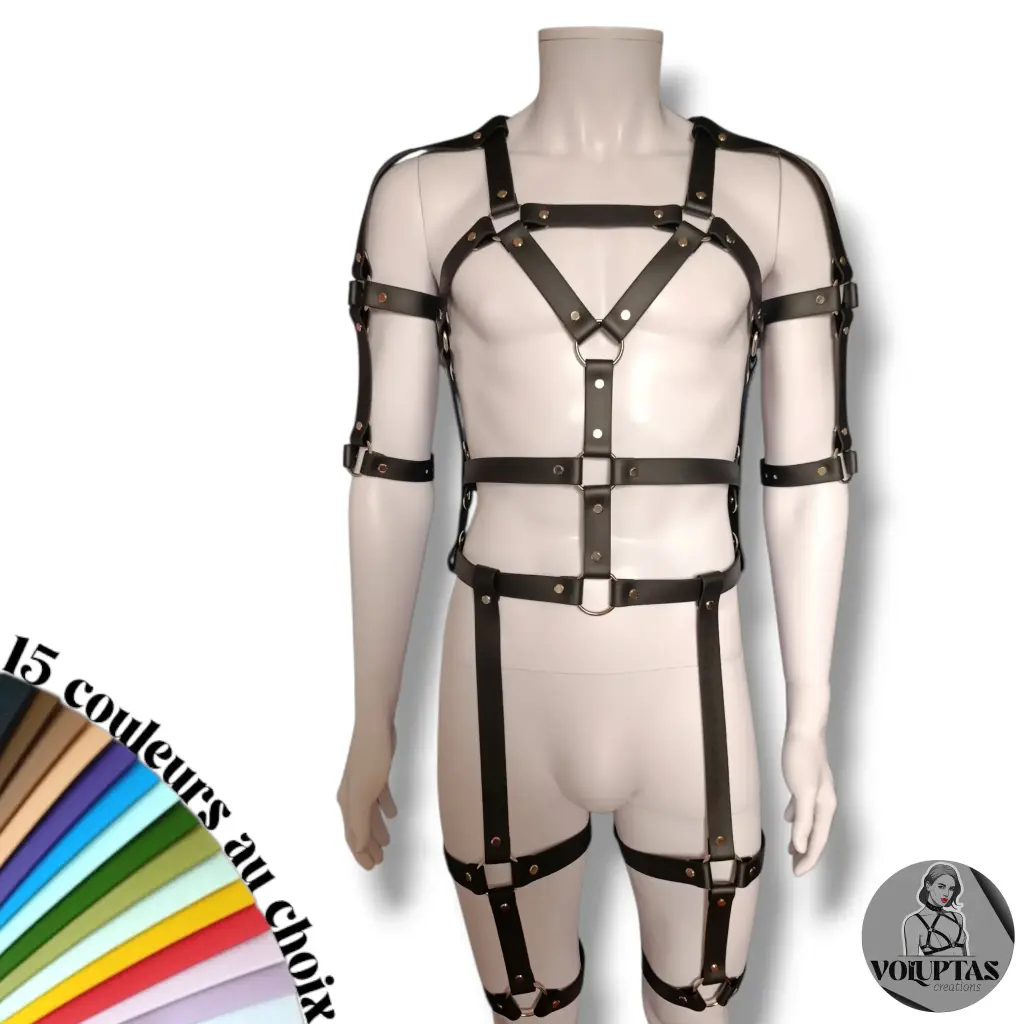 Harnais BDSM VIXENO — Complet + biceps & coudes 